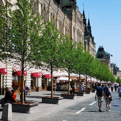 Neubepflanzte Einkaufsstraße