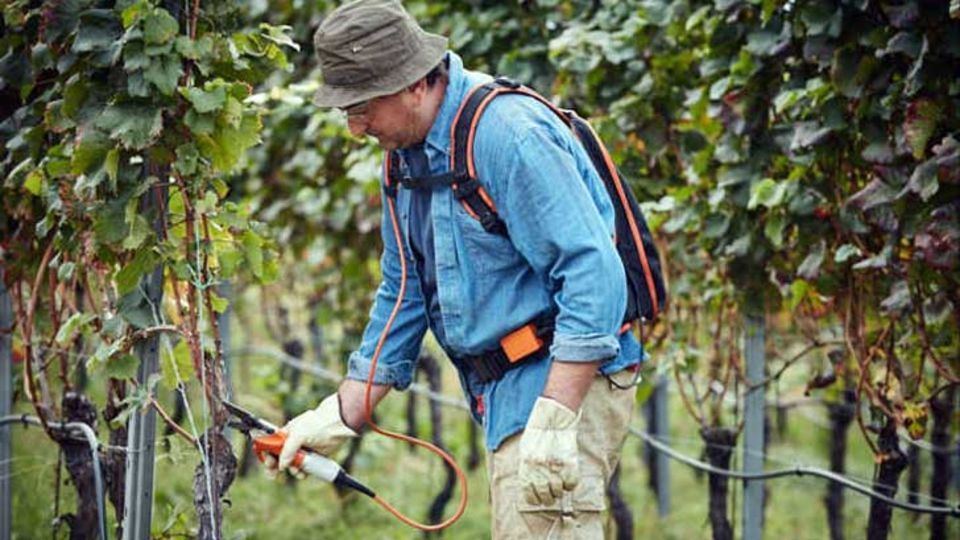 STIHL ASA 65