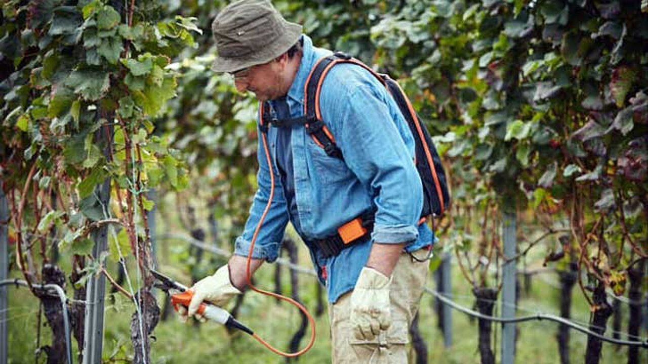 STIHL ASA 65