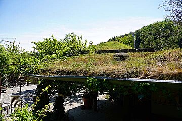 Dachbegrünung