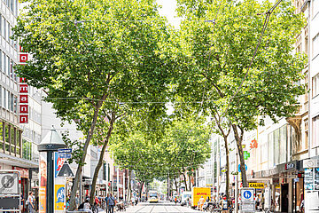 Image-15014
