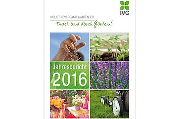 IVG Jahresbericht 2016