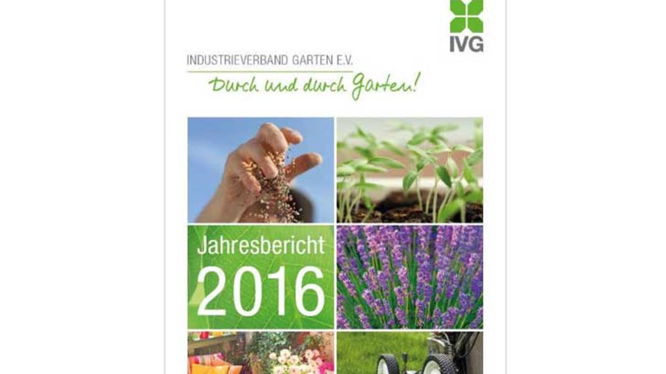 IVG Jahresbericht 2016