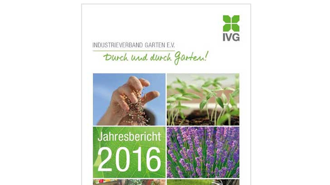 IVG Jahresbericht 2016