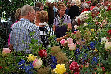 Pre-Opening der Rosenschau