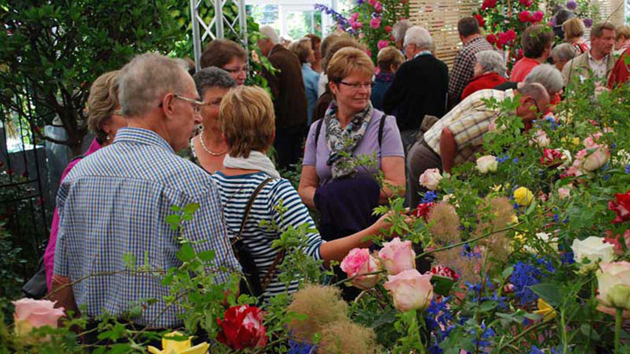 Pre-Opening der Rosenschau