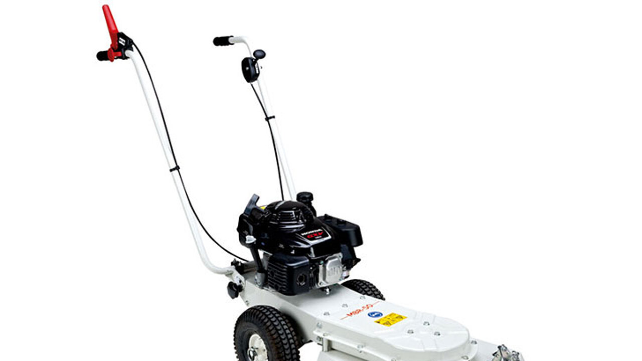 Etesia-Wildkrautbürste