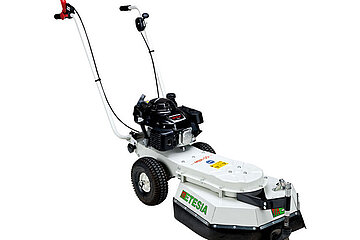Etesia-Wildkrautbürste