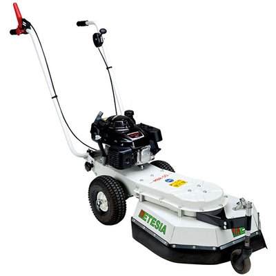 Etesia-Wildkrautbürste