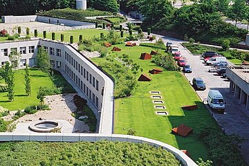 Dachbegrünung