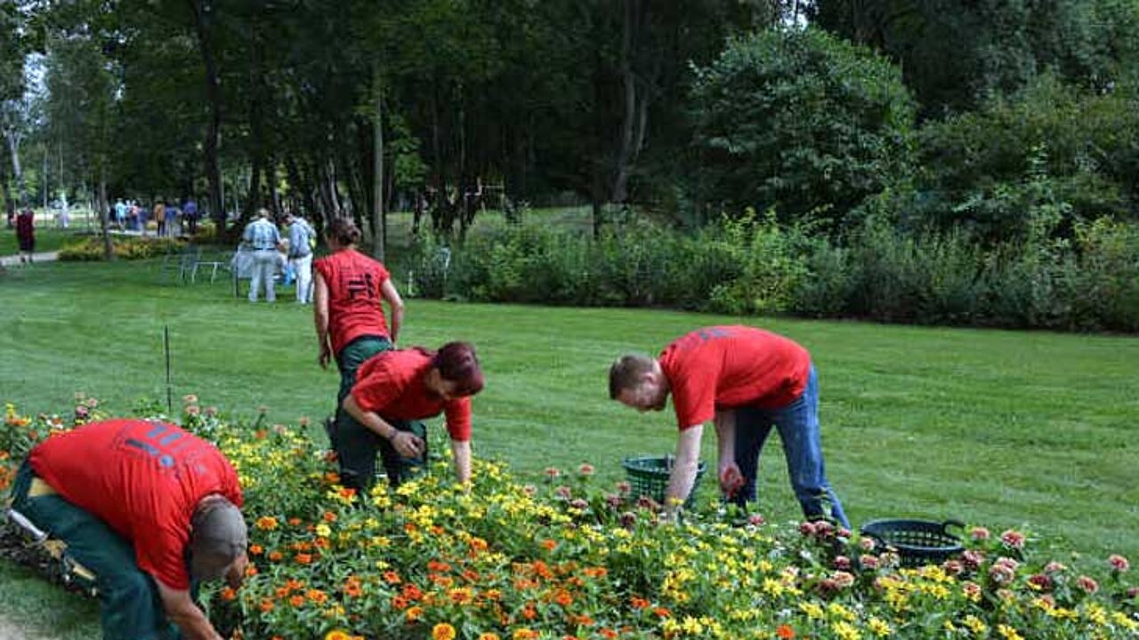 image-8324