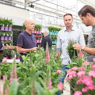 Garden Trials and Trade