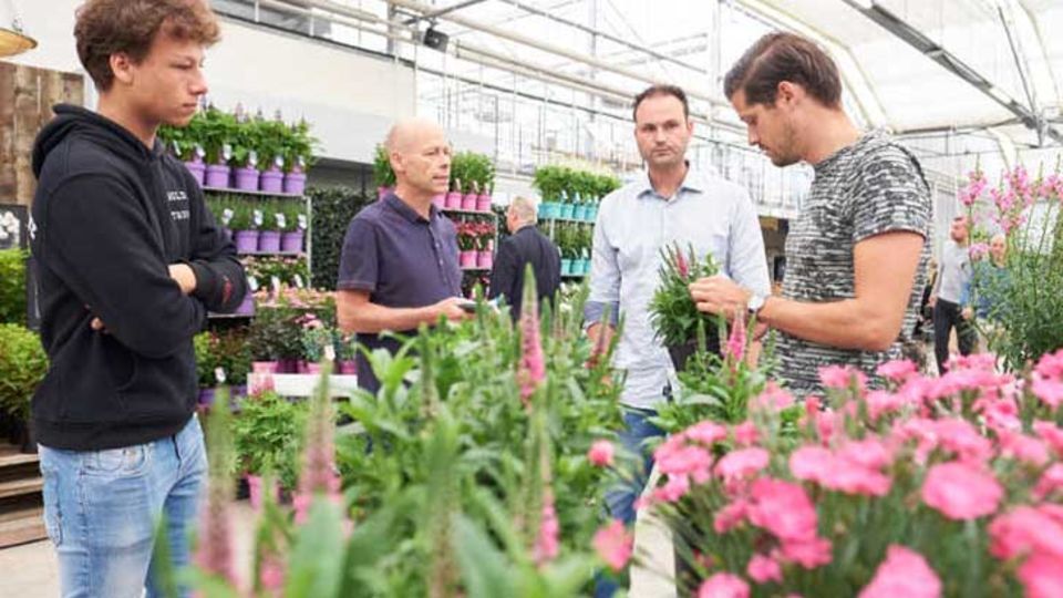 Garden Trials and Trade