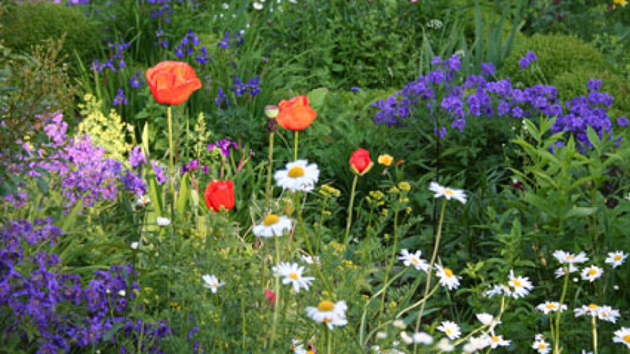 Die Offene Gartenpforte