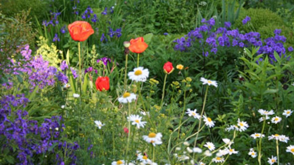Die Offene Gartenpforte