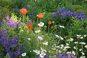 Die Offene Gartenpforte