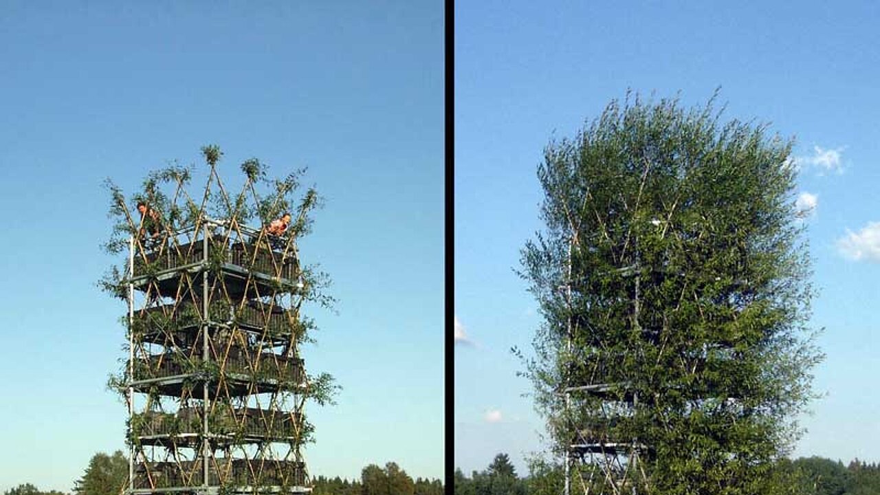 baubotanischer Turm