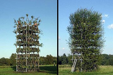 baubotanischer Turm