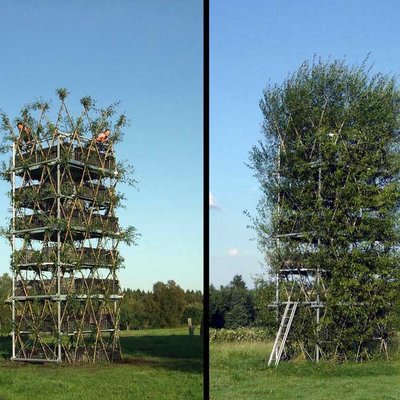 baubotanischer Turm