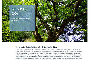Image-16735