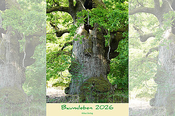 Kalender Baumleben 2026