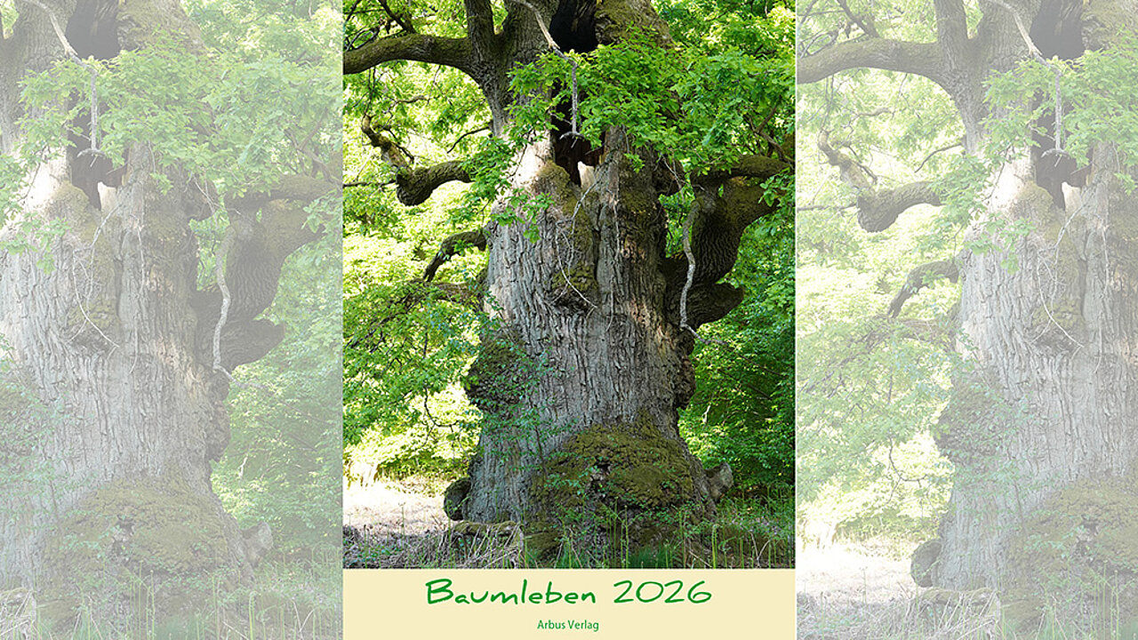 Kalender Baumleben 2026