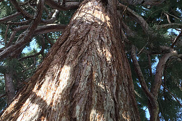 Image-14821