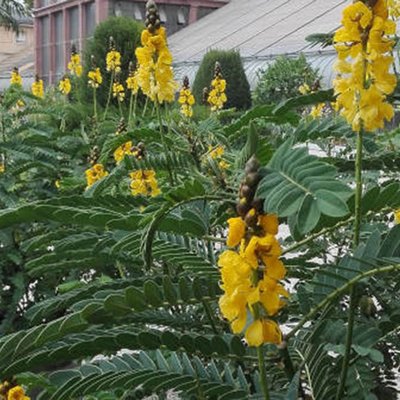 Botanischer Garten
