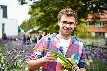 Image-13228
