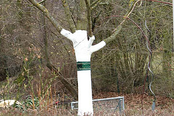 Weißanstrich Obstbäume