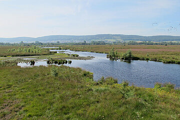 Image-17835