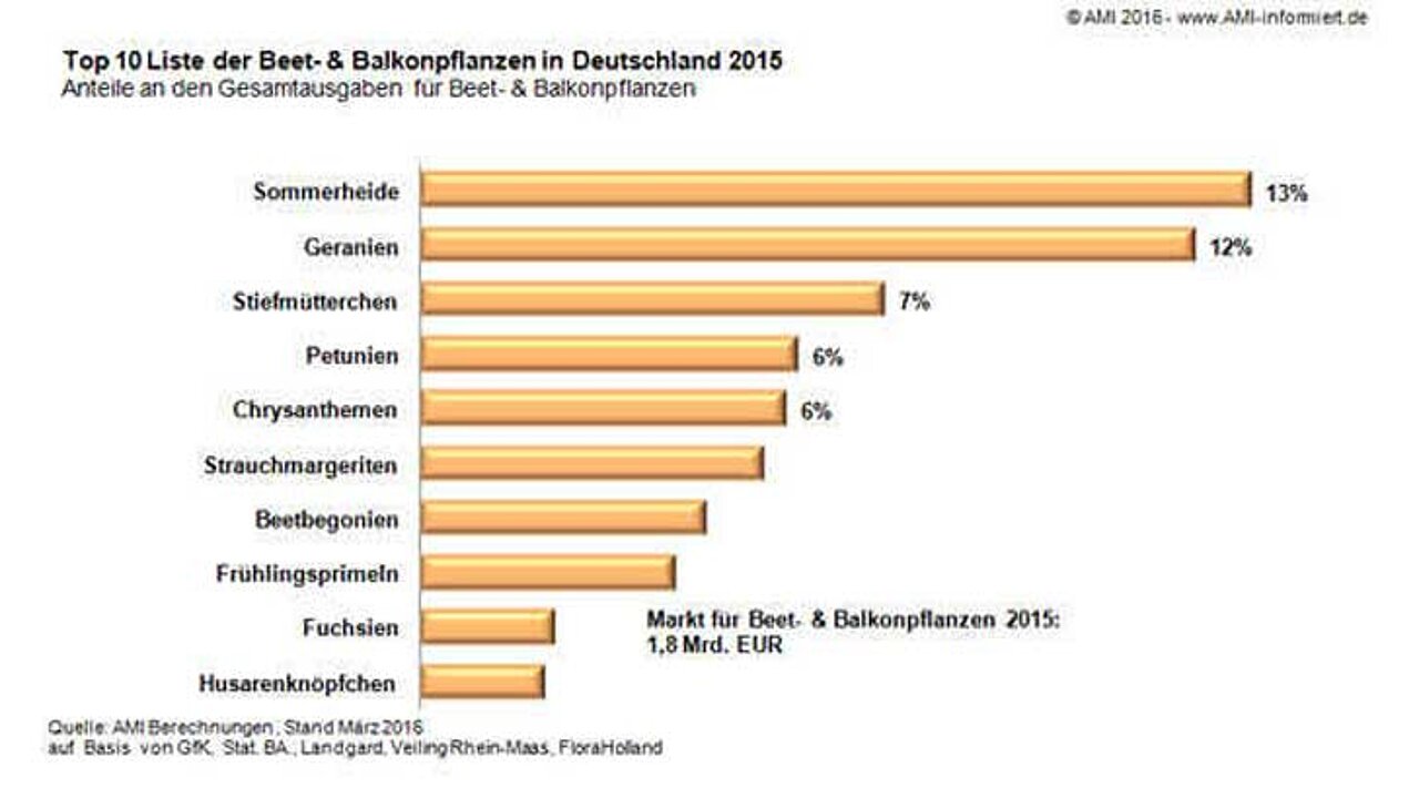 Top 10 Blumen- und Zierpflanzen