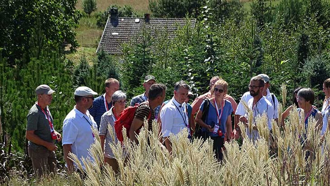 Pflegezustand des Arboretum