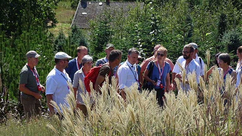 Pflegezustand des Arboretum
