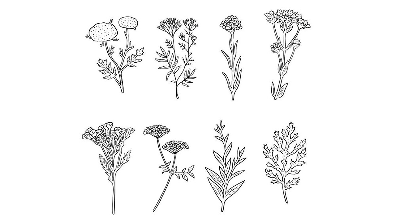 Invasive Arten
