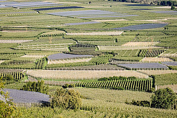 Image-13024