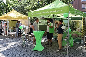 Gebäudebegrünung