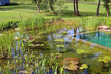 Schwimmteich