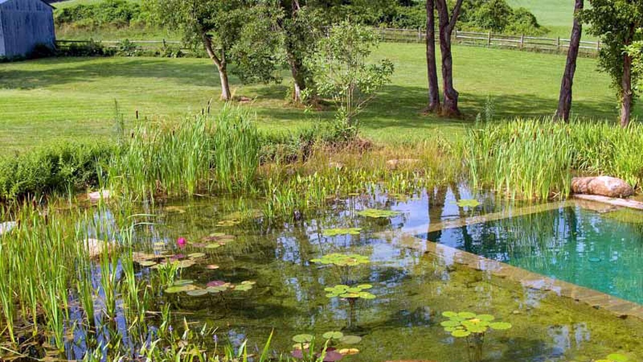 Schwimmteich