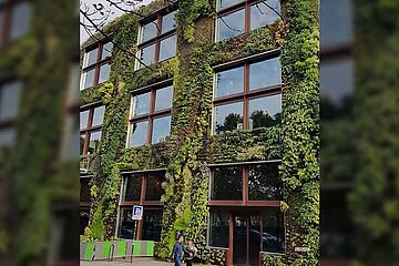 Grün in der Stadt