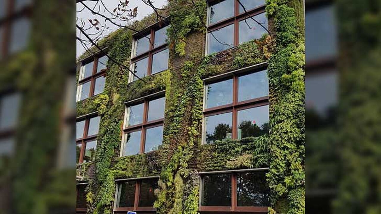Grün in der Stadt