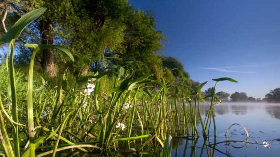 Untere Havel