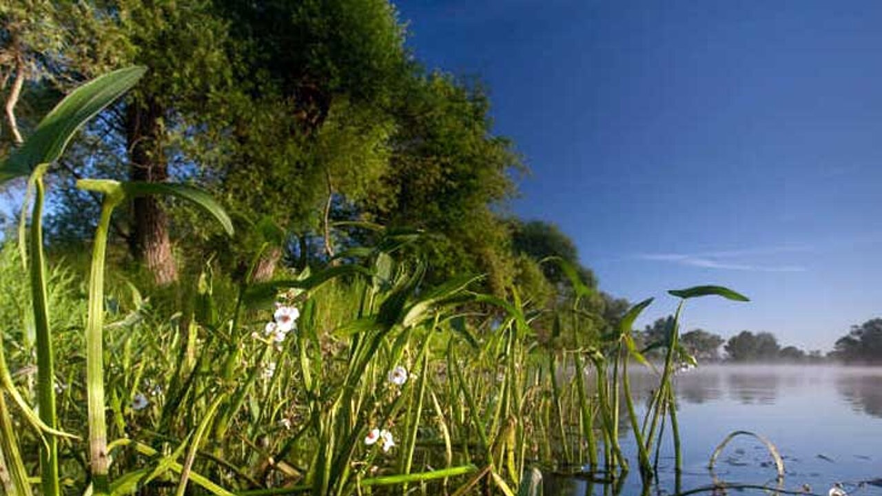 Untere Havel