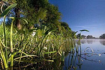 Untere Havel