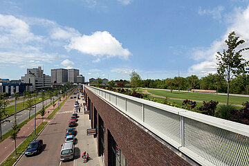 Dachpark Vierhavenstrip