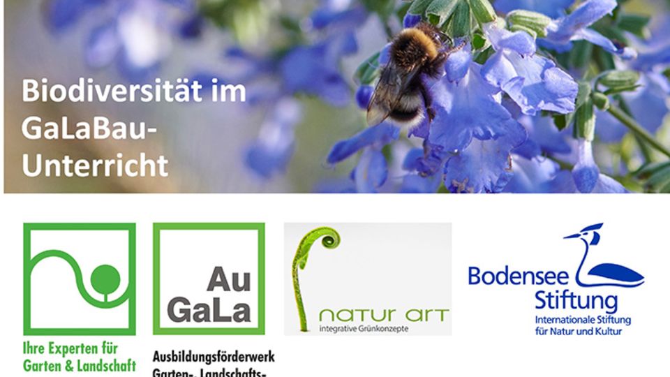 Biodiversität im GaLaBau