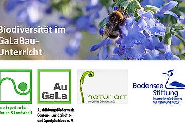 Biodiversität im GaLaBau