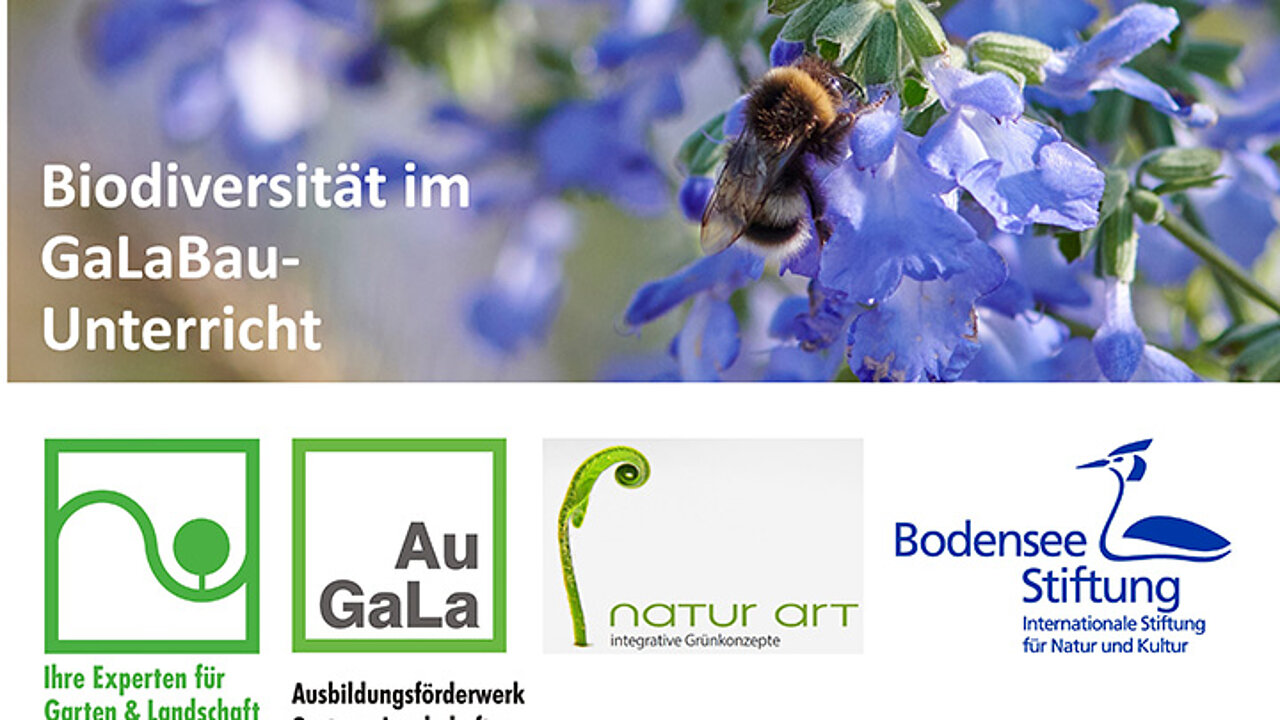 Biodiversität im GaLaBau