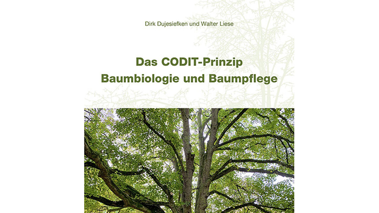 CODIT-Prinzip in der Baumpflege