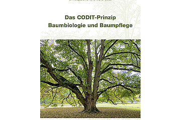 CODIT-Prinzip in der Baumpflege